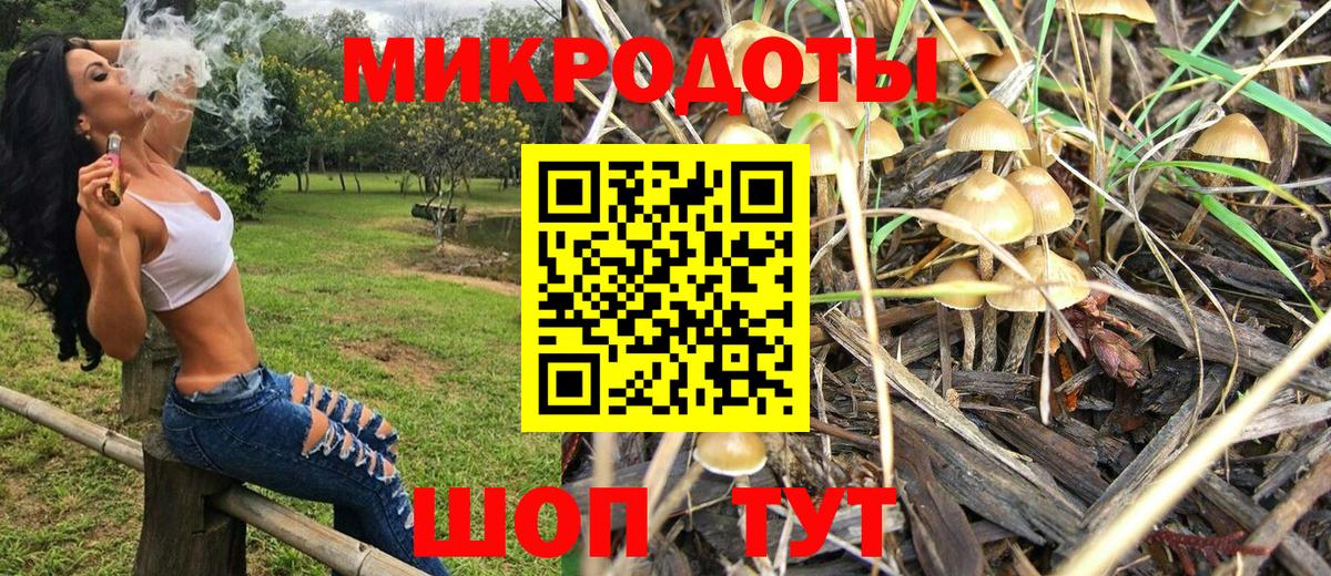 Галлюциногенные грибы мицелий Малгобек