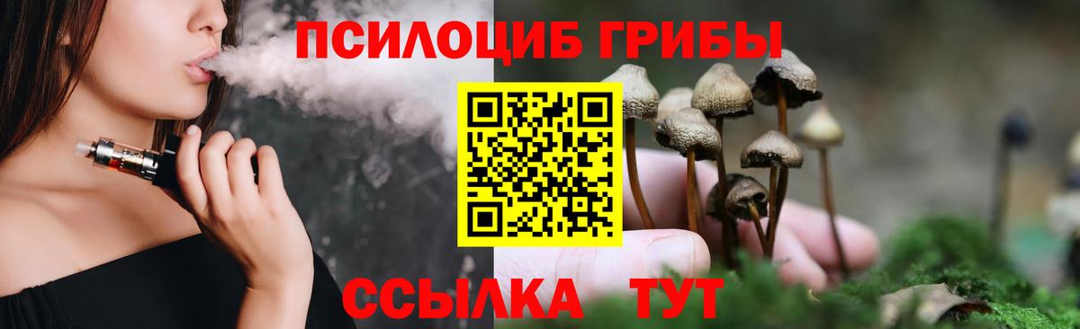 Малгобек  хочу   Галлюциногенные грибы ЛСД  Вход с VPN  Галлюциногенные грибы MAGIC MUSHROOMS 